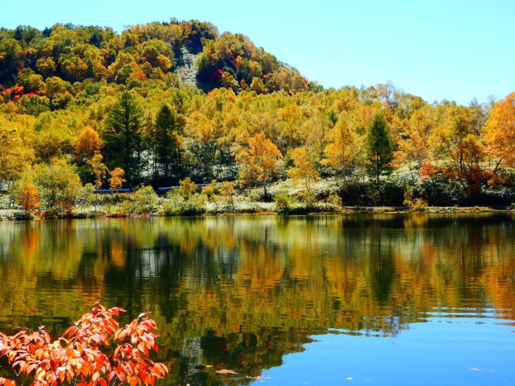 秋、もみじに彩られた木戸池 - -山ノ内町- -