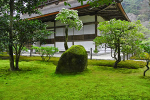 京都銀閣寺：あざやかないろどりの苔と岩 - -京都市左京区哲学の道周辺- -