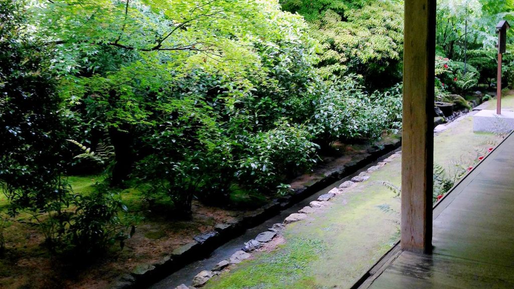 緑の多い境内では美しい撮影スポットが数多い - -京都府の観光、撮影スポット：龍安寺- -