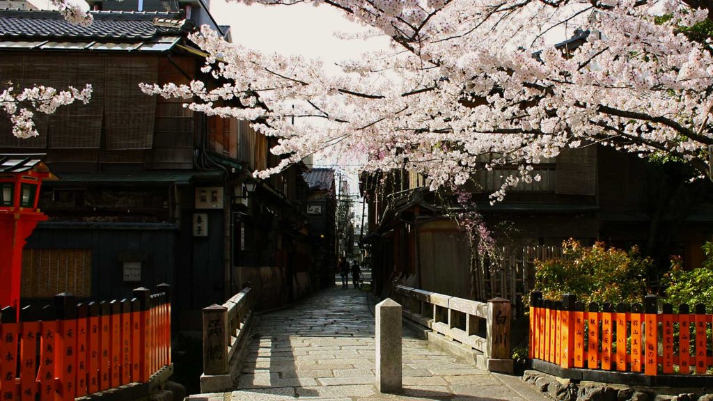 さくらの咲く頃の擬音白川：巽橋  - -京都、祇園白川- -