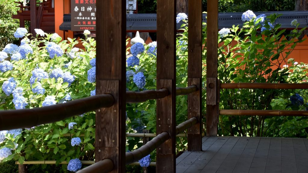 あじさい寺として名高い矢田寺の境内には春日神社もある - -奈良県大和郡山市にある観光、撮影スポット- -