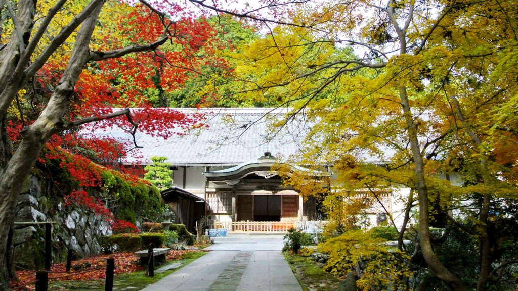瓦屋禅寺の庫裏も鮮やかな紅葉に彩られる - -滋賀県東近江市にある観光、撮影スポット- -