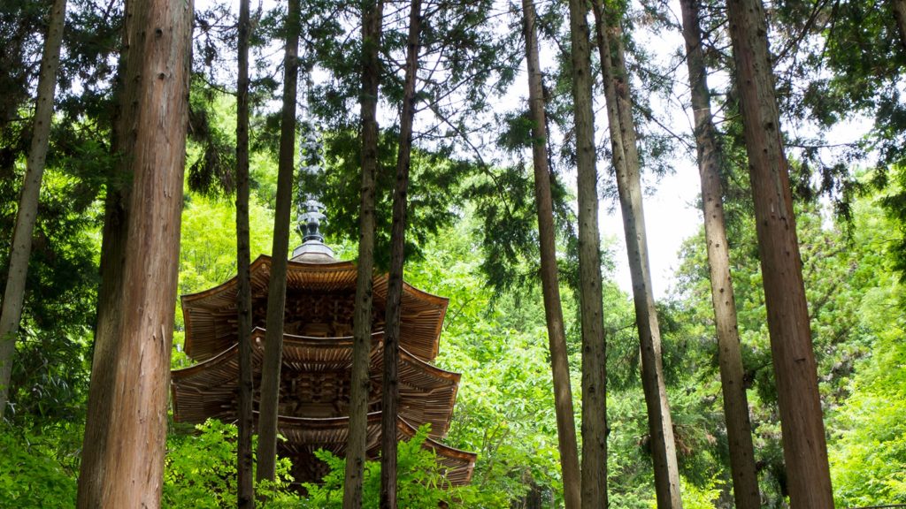 山間にひっそりと佇む安楽寺、八角三重塔 - - 長野県の観光、撮影スポット- -