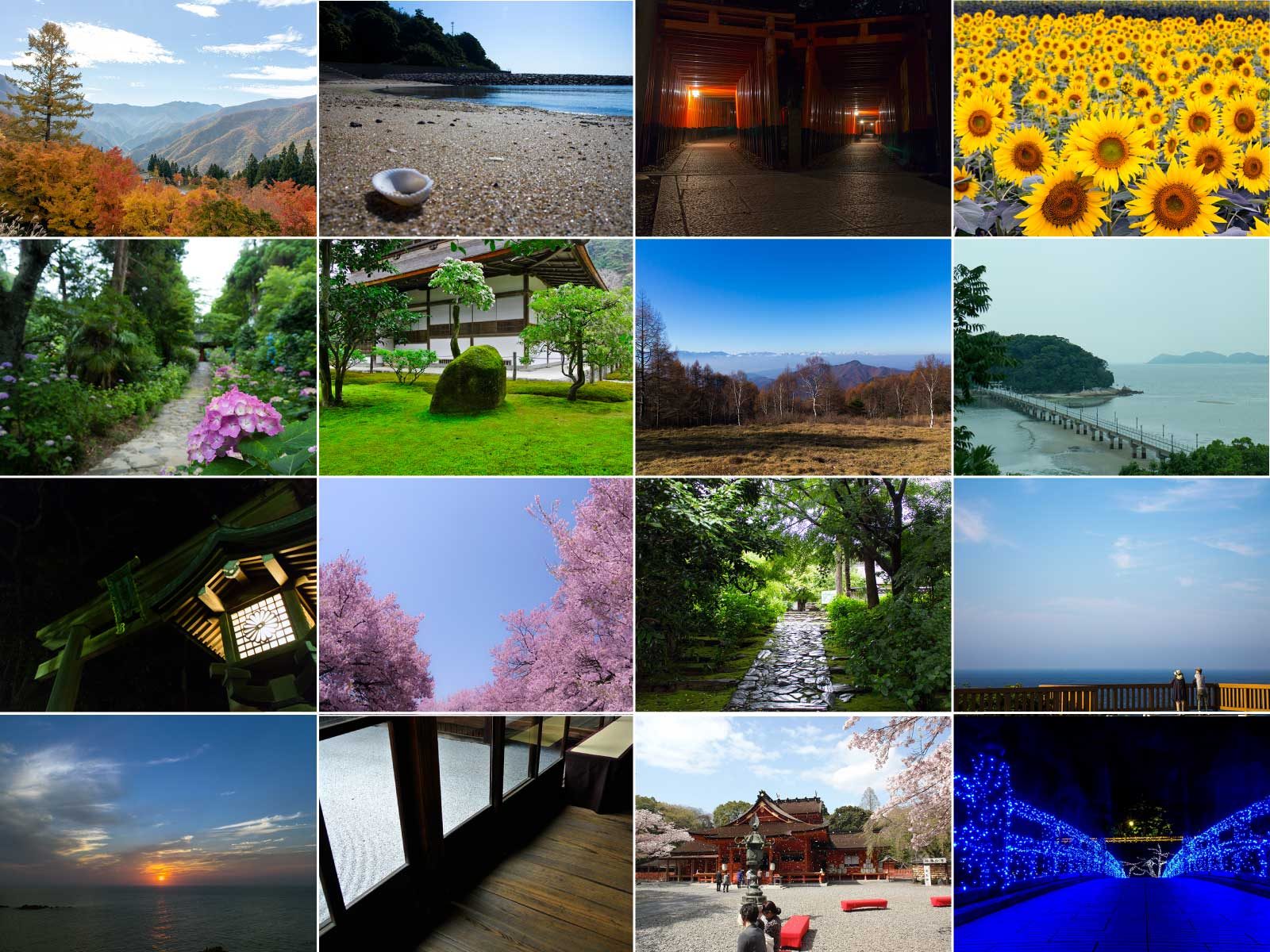 撮る旅：日本全国の観光地を写真撮影を主とした視点で紹介する情報ブログ。フォトコンテスト情報も！