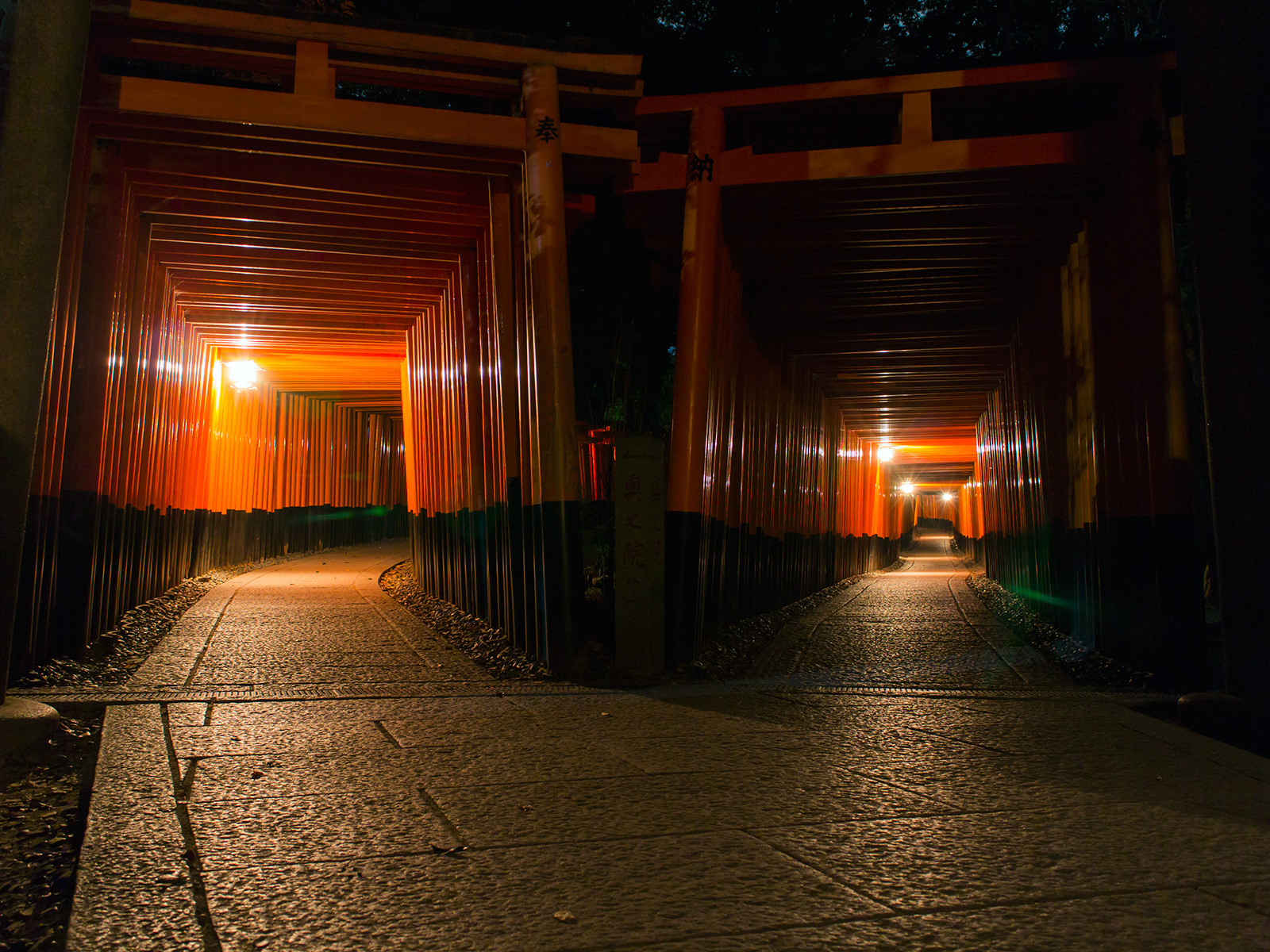 京都府の撮影スポット 観光スポットの情報を探す 写真を撮る旅へでかけよう 観光情報サイト 撮る旅