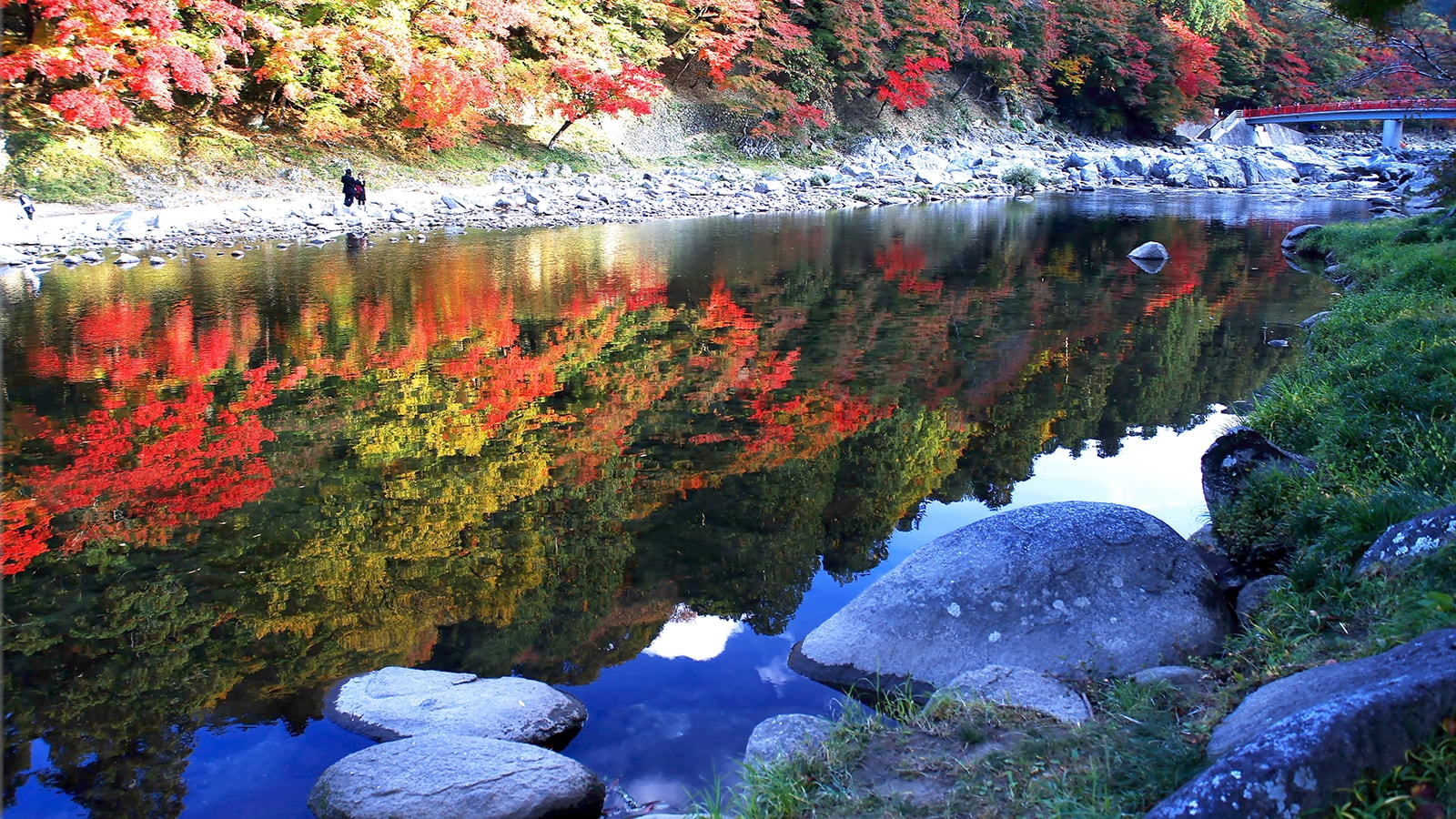 東海地方随一の紅葉スポット香嵐渓の絶景 - -愛知県豊田市にある観光、撮影スポット- -
