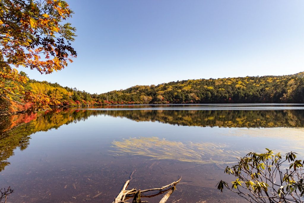 秋、澄んだ水面に紅葉が映り込む白駒池